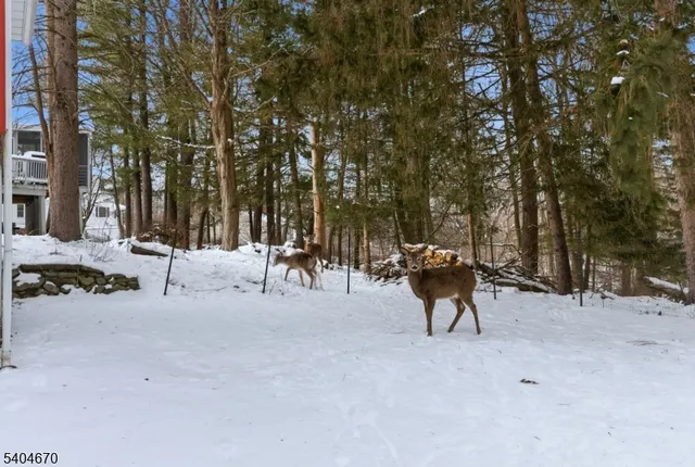 $485,000 | 41 Summit Road, Sparta, NJ 07871