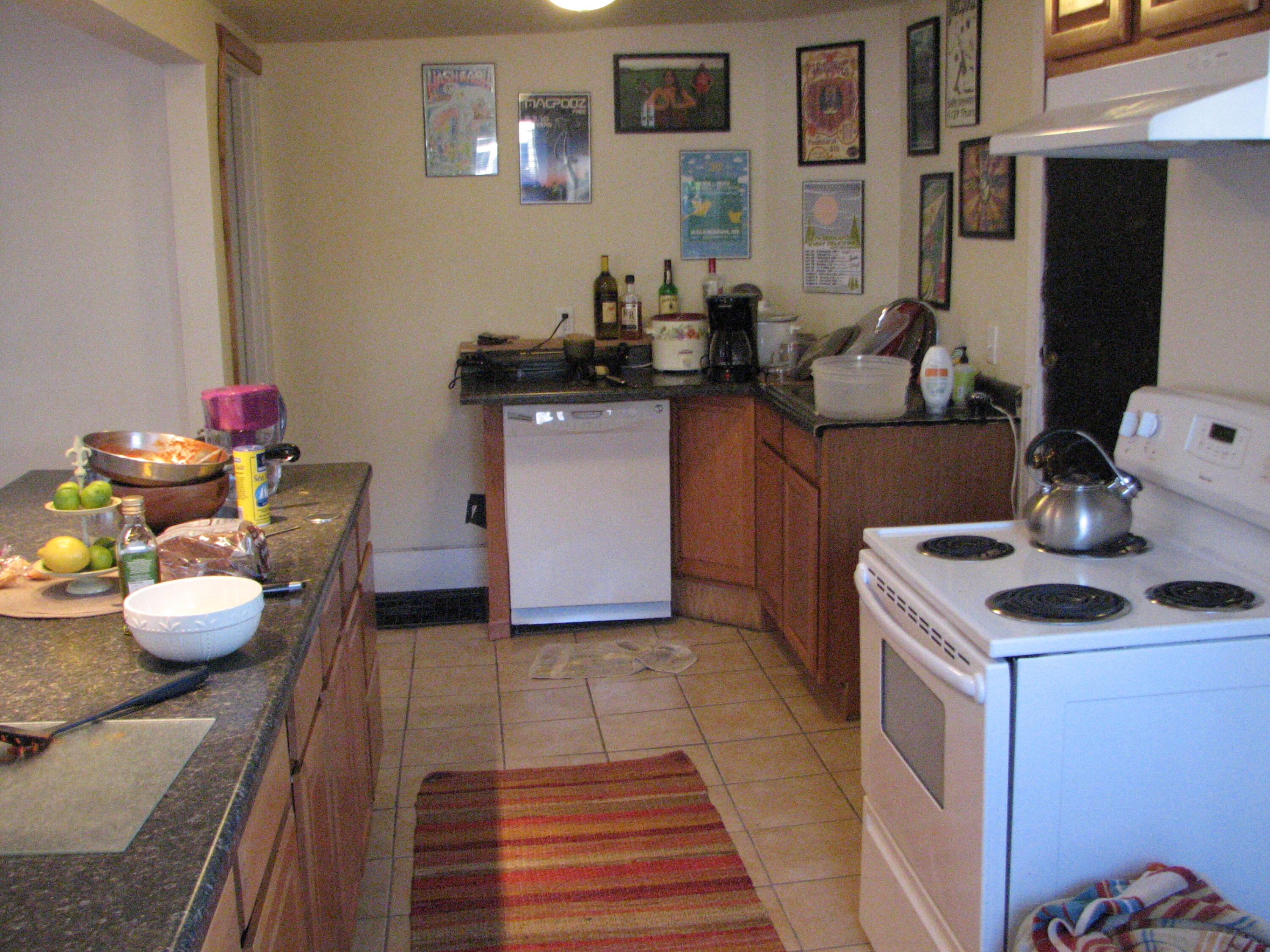 502 Locust Street Kalamazoo, MI 49007 - Photo 6 of 16 IMG_9773