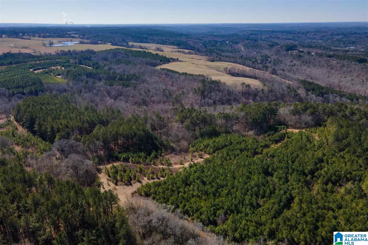 539 Jim Bagwell Road Empire, AL 35063 - Photo 12 of 35 Gallery Image 12