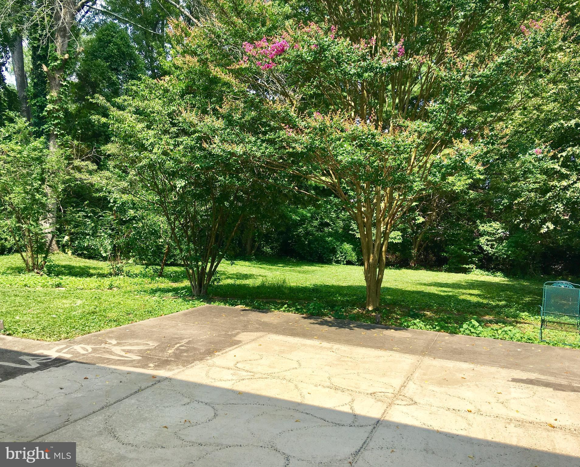 1003 Dead Run Drive McLean, VA 22101 - Photo 26 of 26 Patio and Backyard
