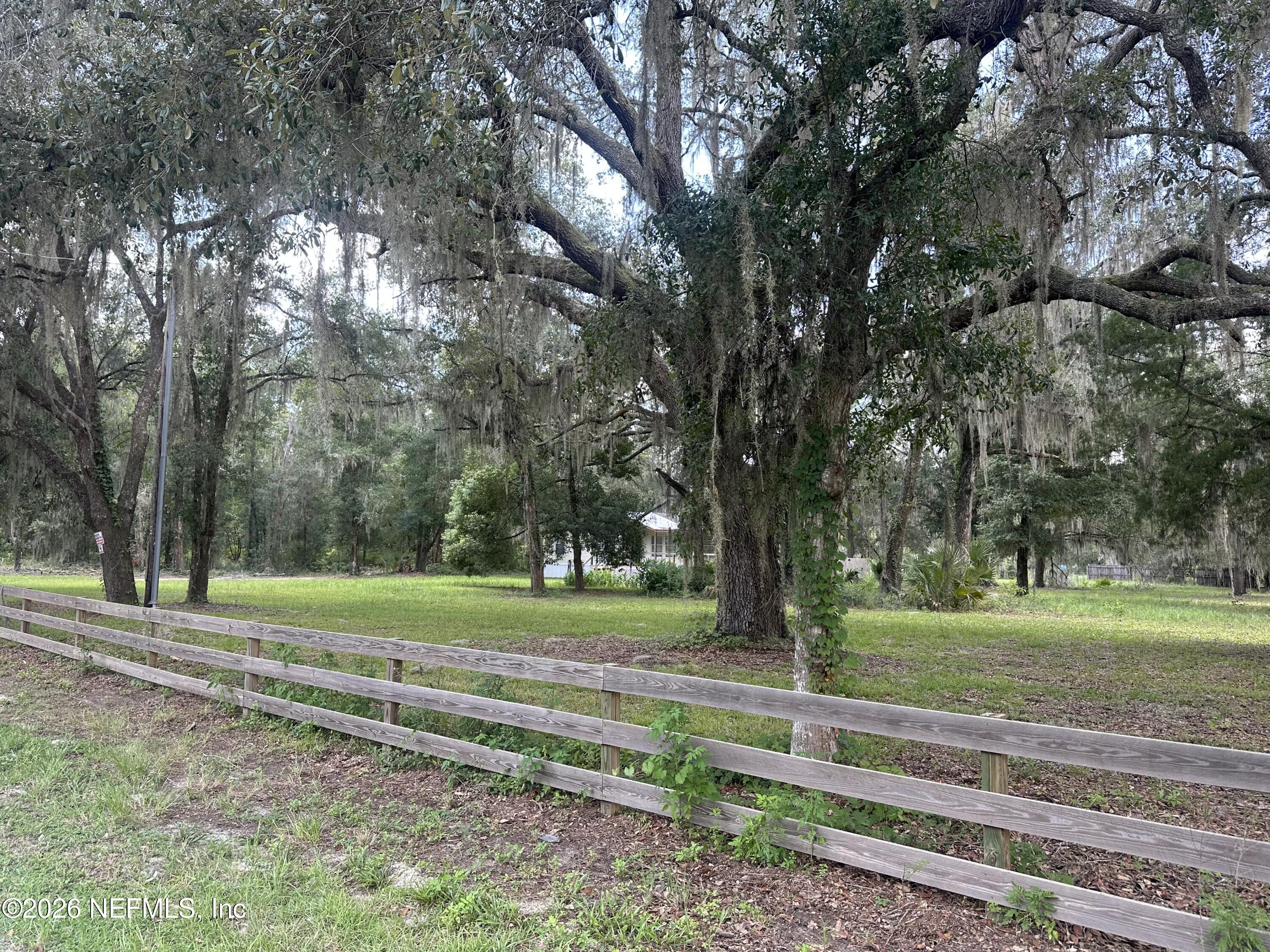 101 West Strickland Road Interlachen, FL 32148 - Photo 5 of 33 beautiful trees