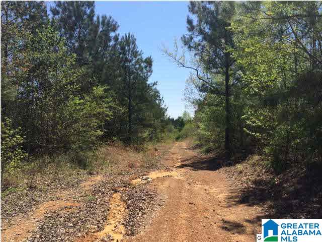 3980 Tanner Road, Unit 10 ACRES Dora, AL 35062 - Photo 4 of 8