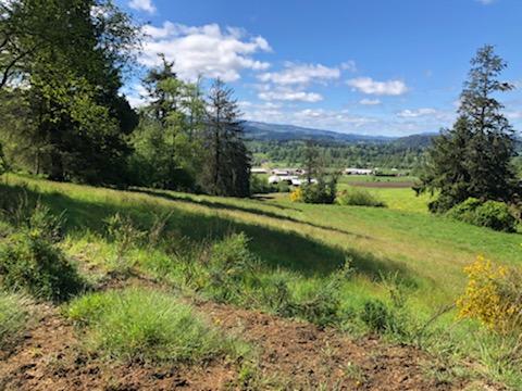 201 Hodgdon Road Tillamook, OR 97141 - Photo 18 of 33 IMG_7817
