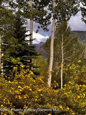 $29,600,000 | 531 Moore Drive, Aspen, CO 81611