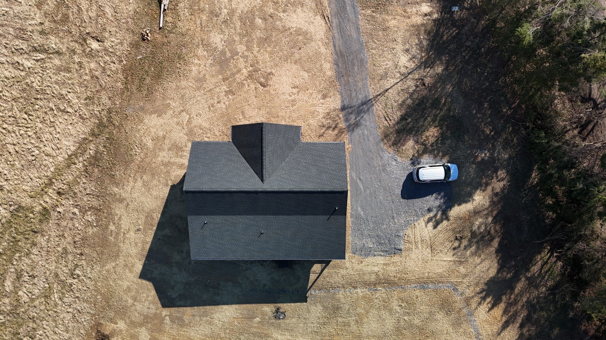 517 Pleasant Hill Road Lafayette, TN 37083 - Photo 38 of 39 a picture of a tree