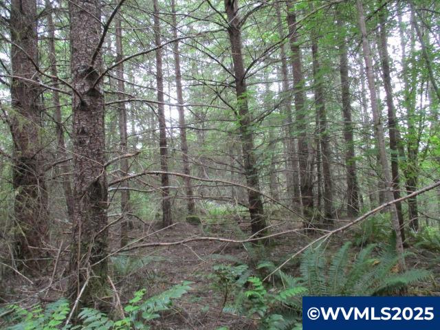 0 Gruber South Road Estacada, OR 97023 - Photo 25 of 30