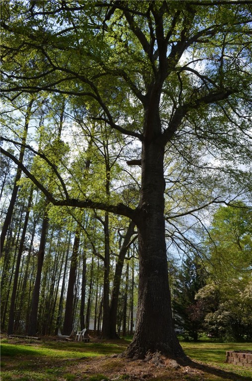 1404 Honey Creek Road Anderson, SC 29621 - Photo 11 of 33