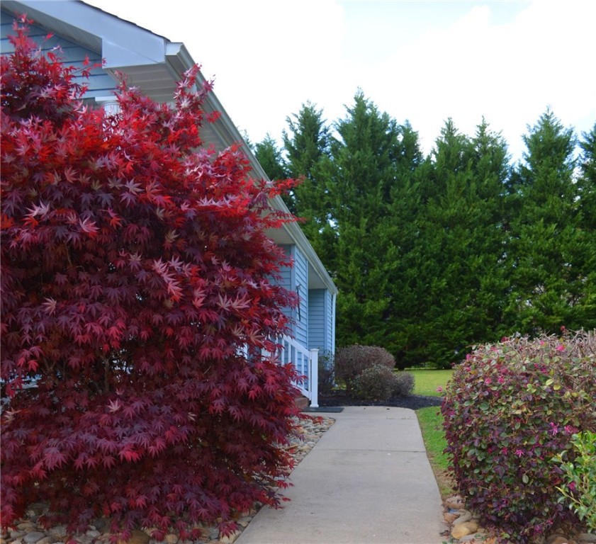 1404 Honey Creek Road Anderson, SC 29621 - Photo 12 of 33
