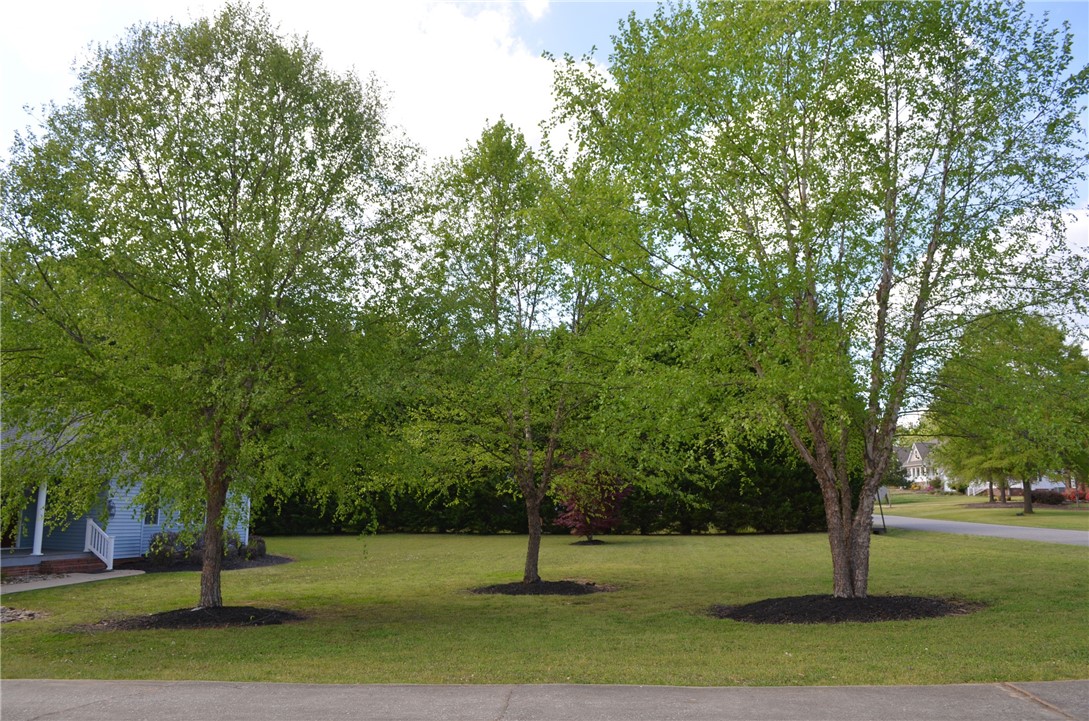 1404 Honey Creek Road Anderson, SC 29621 - Photo 4 of 33