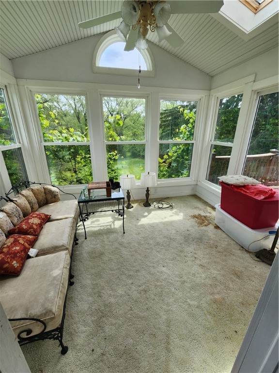 7650 Grant Avenue Road Sennett, NY 13021 - Photo 15 of 26