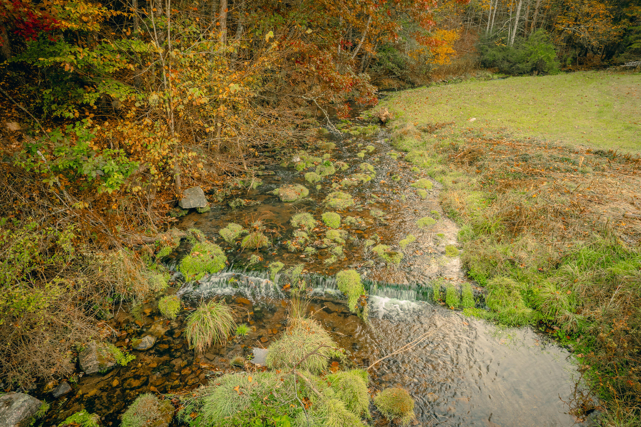 15203 Paint Bank Road Paint Bank, VA 24131 - Photo 11 of 46 Miller-Nelson 13
