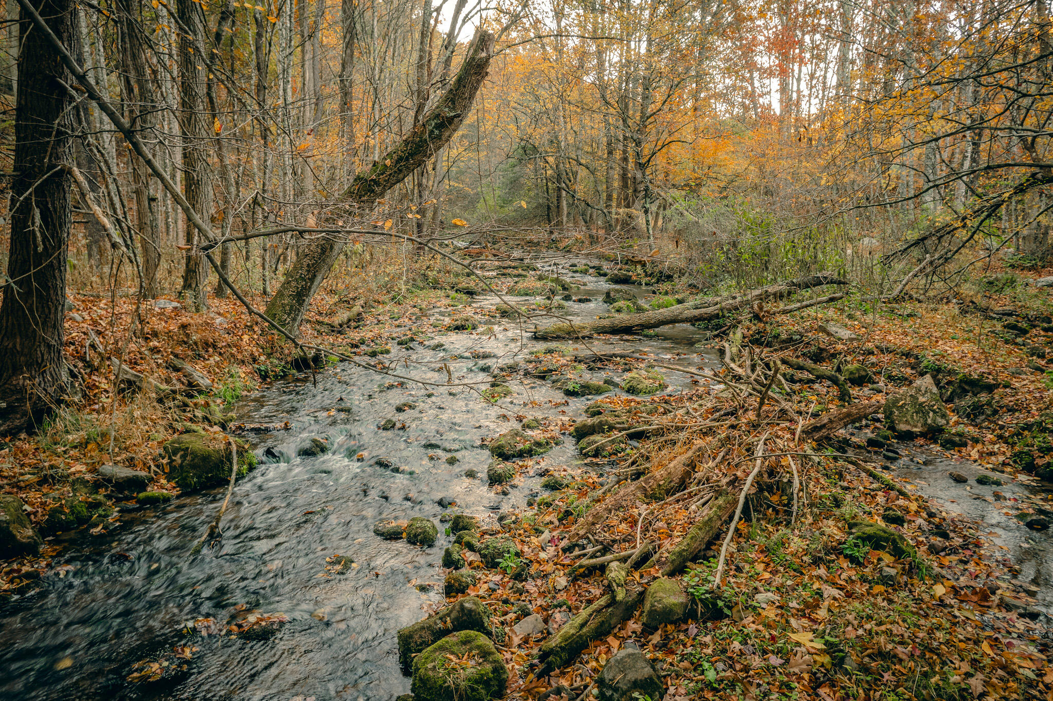 15203 Paint Bank Road Paint Bank, VA 24131 - Photo 12 of 46 Miller-Nelson 14
