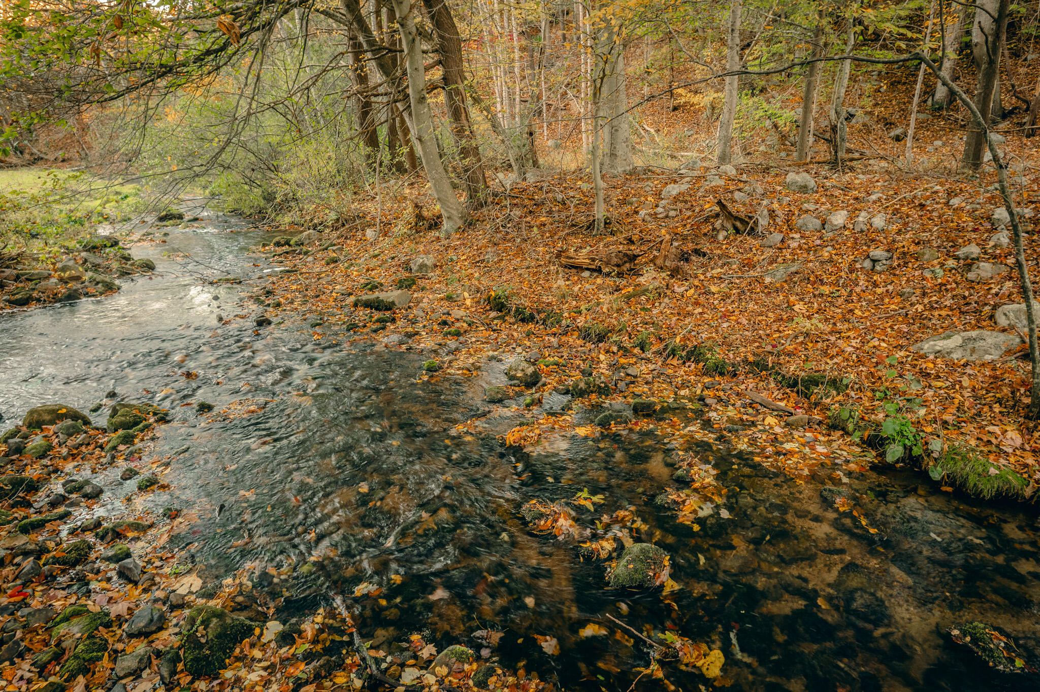 15203 Paint Bank Road Paint Bank, VA 24131 - Photo 13 of 46 Miller-Nelson 15