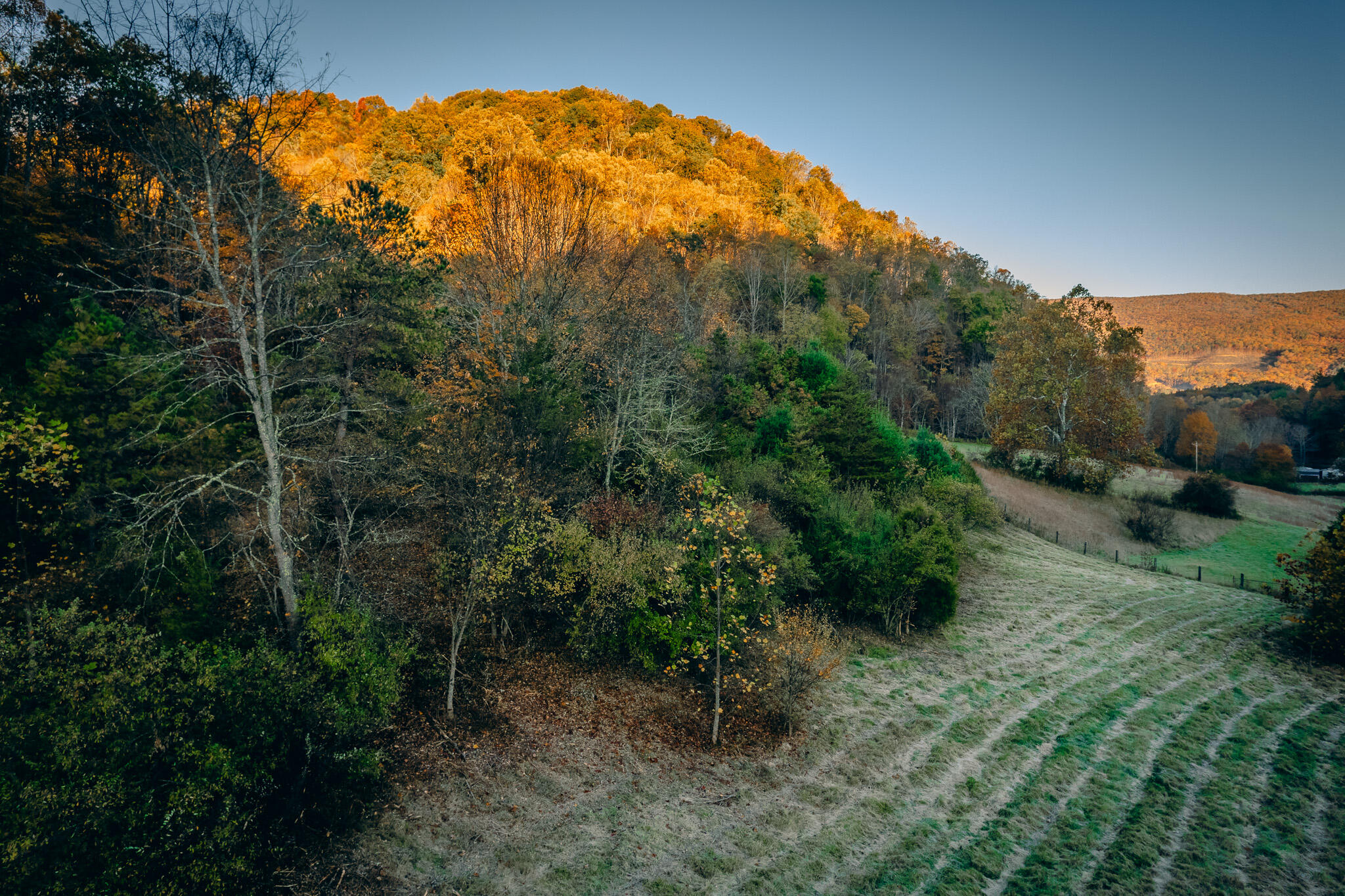 15203 Paint Bank Road Paint Bank, VA 24131 - Photo 15 of 46 Miller-Nelson 17