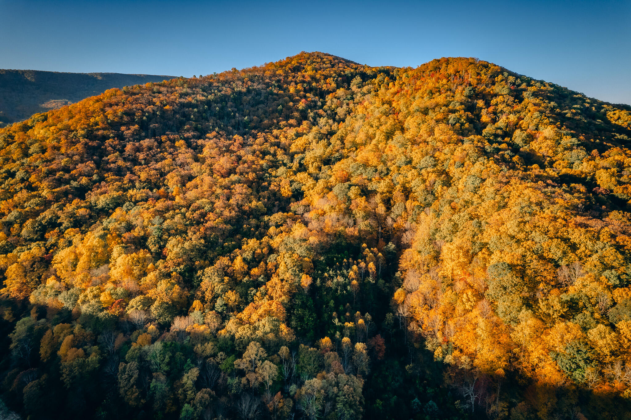 15203 Paint Bank Road Paint Bank, VA 24131 - Photo 17 of 46 Miller-Nelson 19