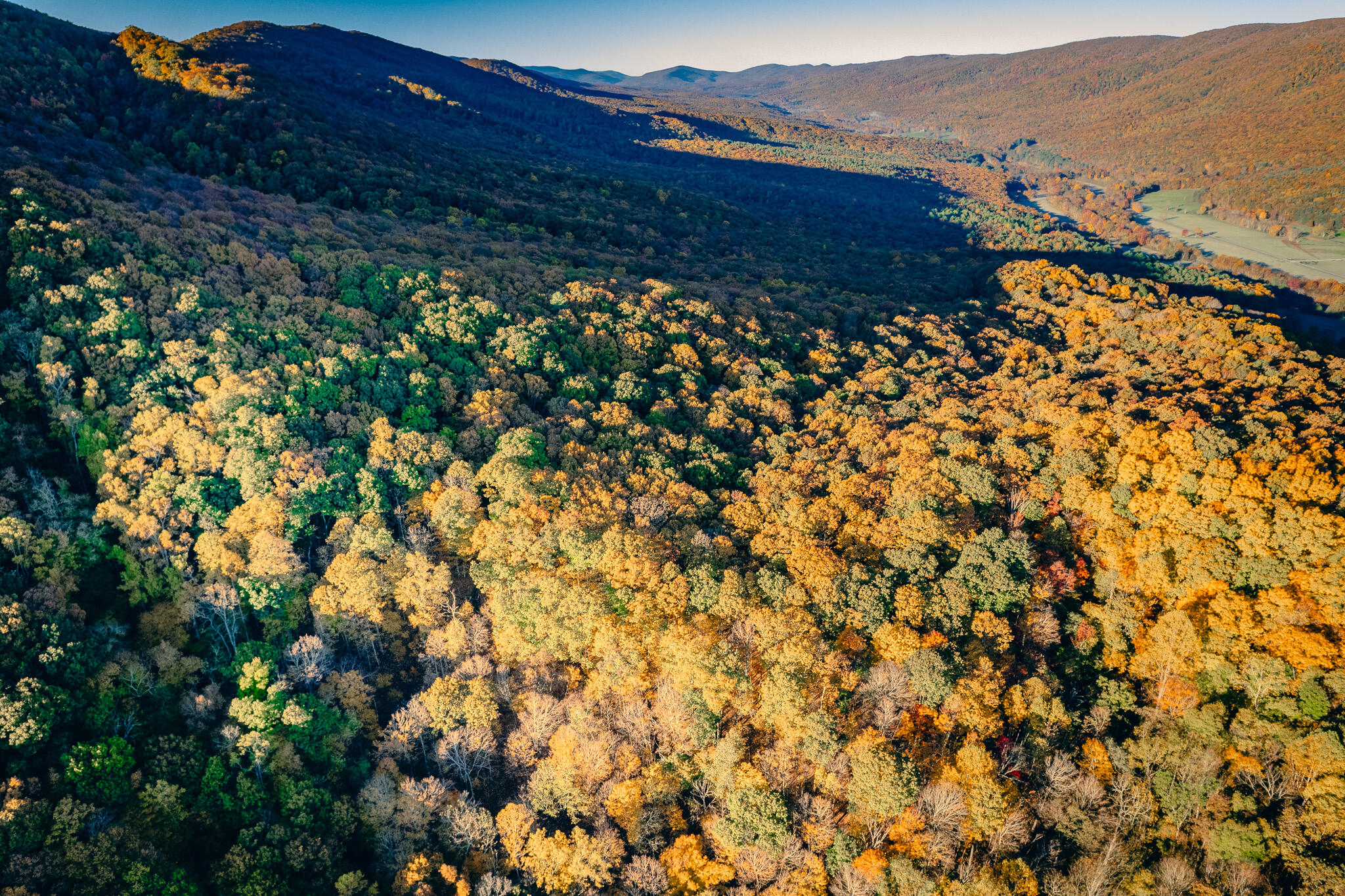 15203 Paint Bank Road Paint Bank, VA 24131 - Photo 19 of 46 Miller-Nelson 21