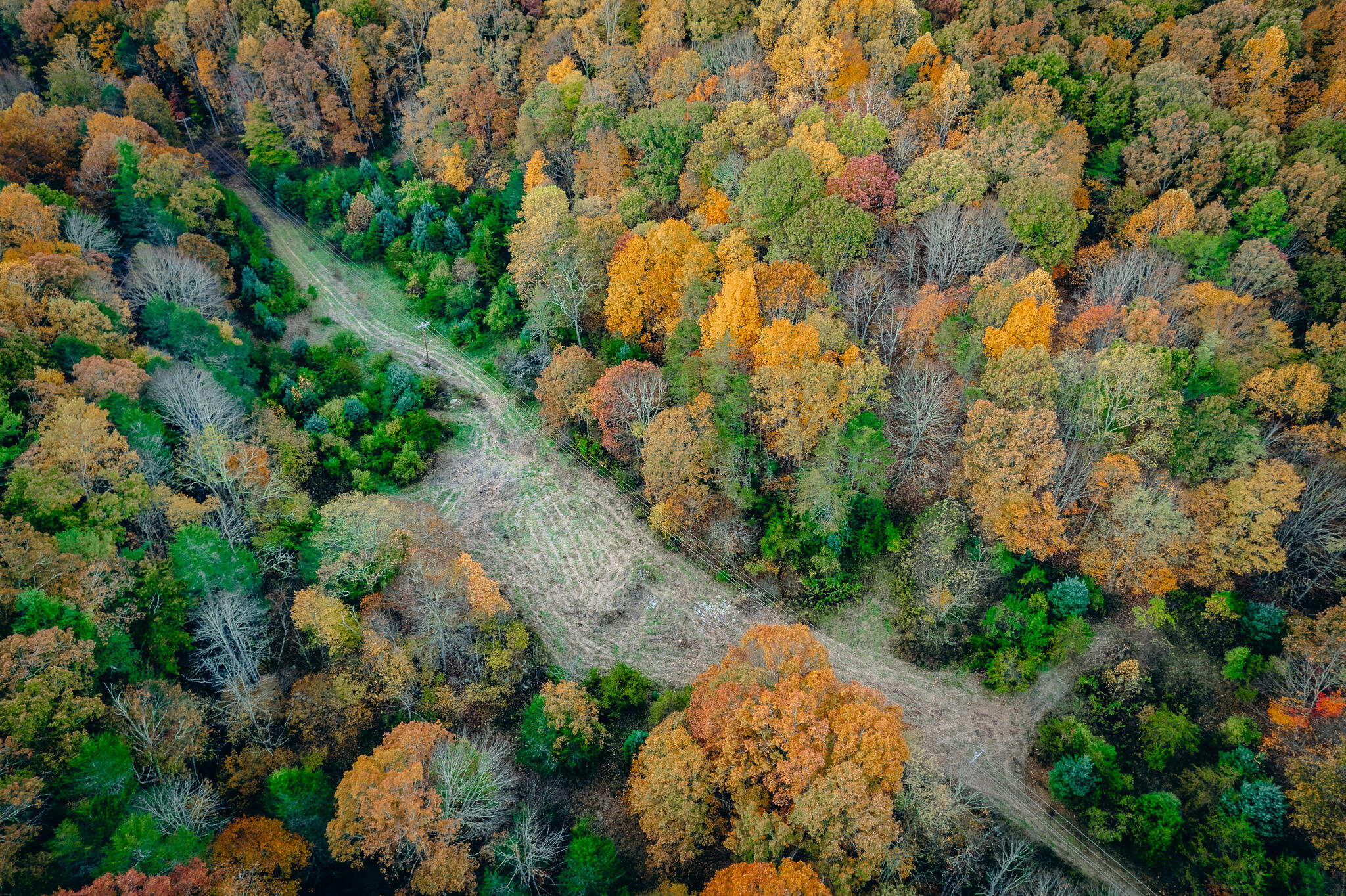 15203 Paint Bank Road Paint Bank, VA 24131 - Photo 2 of 46 Miller-Nelson 7