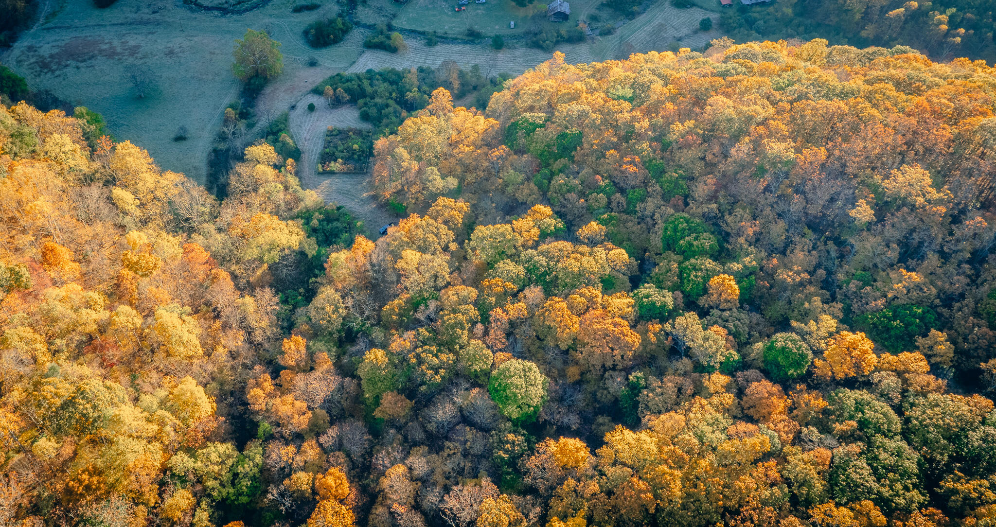 15203 Paint Bank Road Paint Bank, VA 24131 - Photo 23 of 46 Miller-Nelson 25