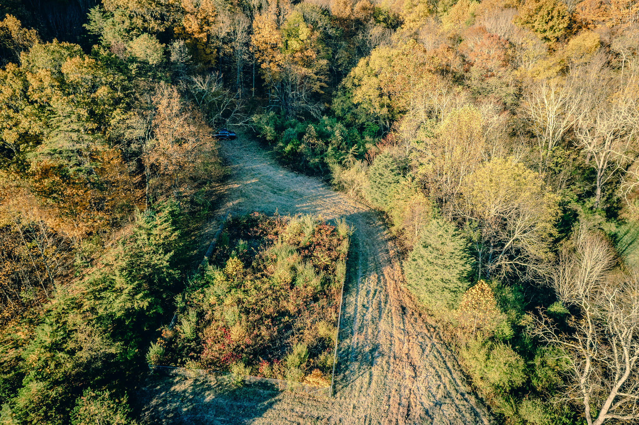 15203 Paint Bank Road Paint Bank, VA 24131 - Photo 30 of 46 Miller-Nelson 32