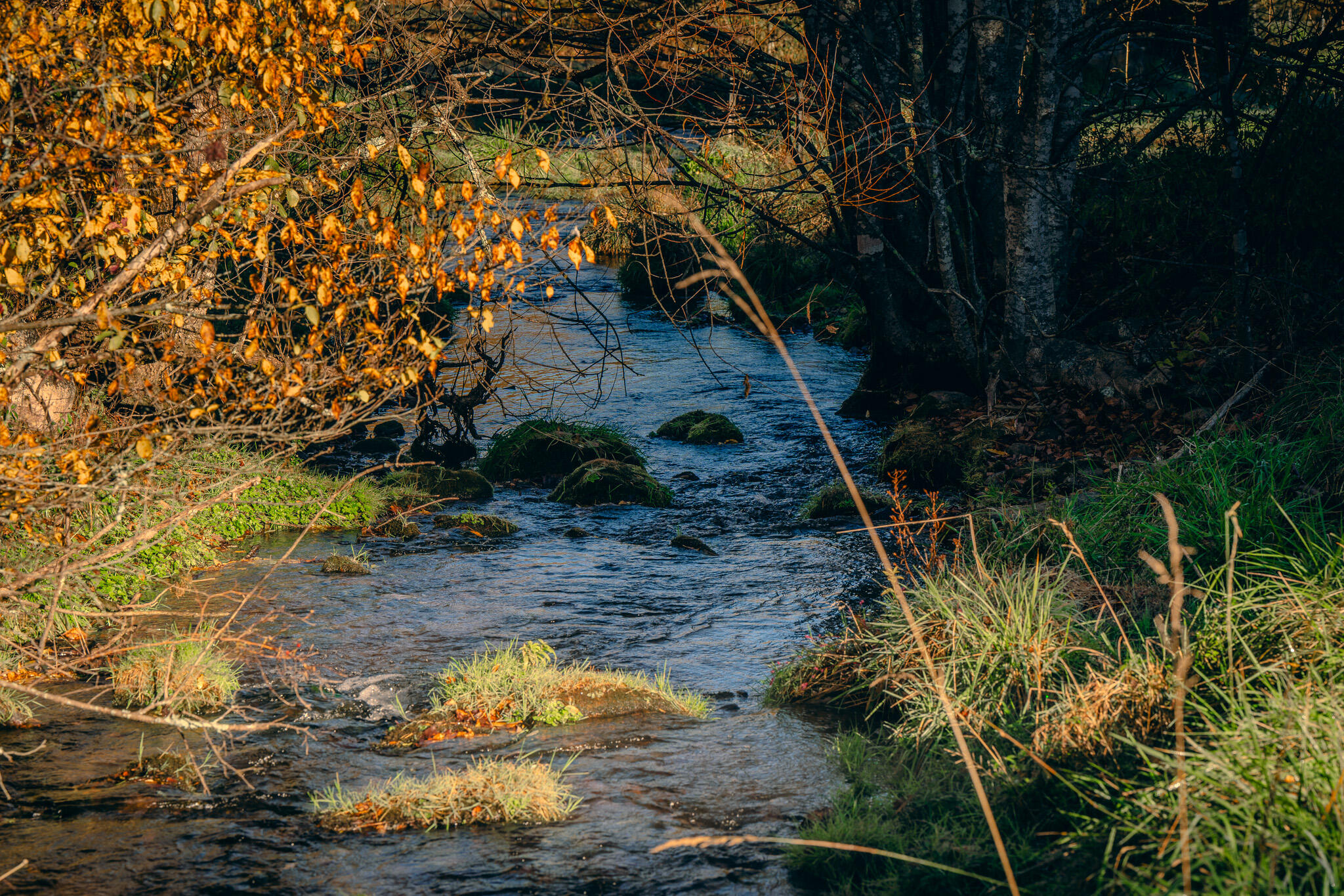 15203 Paint Bank Road Paint Bank, VA 24131 - Photo 3 of 46 Miller-Nelson 2