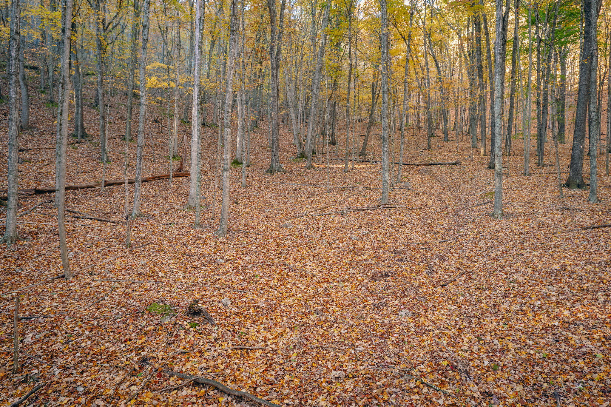 15203 Paint Bank Road Paint Bank, VA 24131 - Photo 31 of 46 Miller-Nelson 33