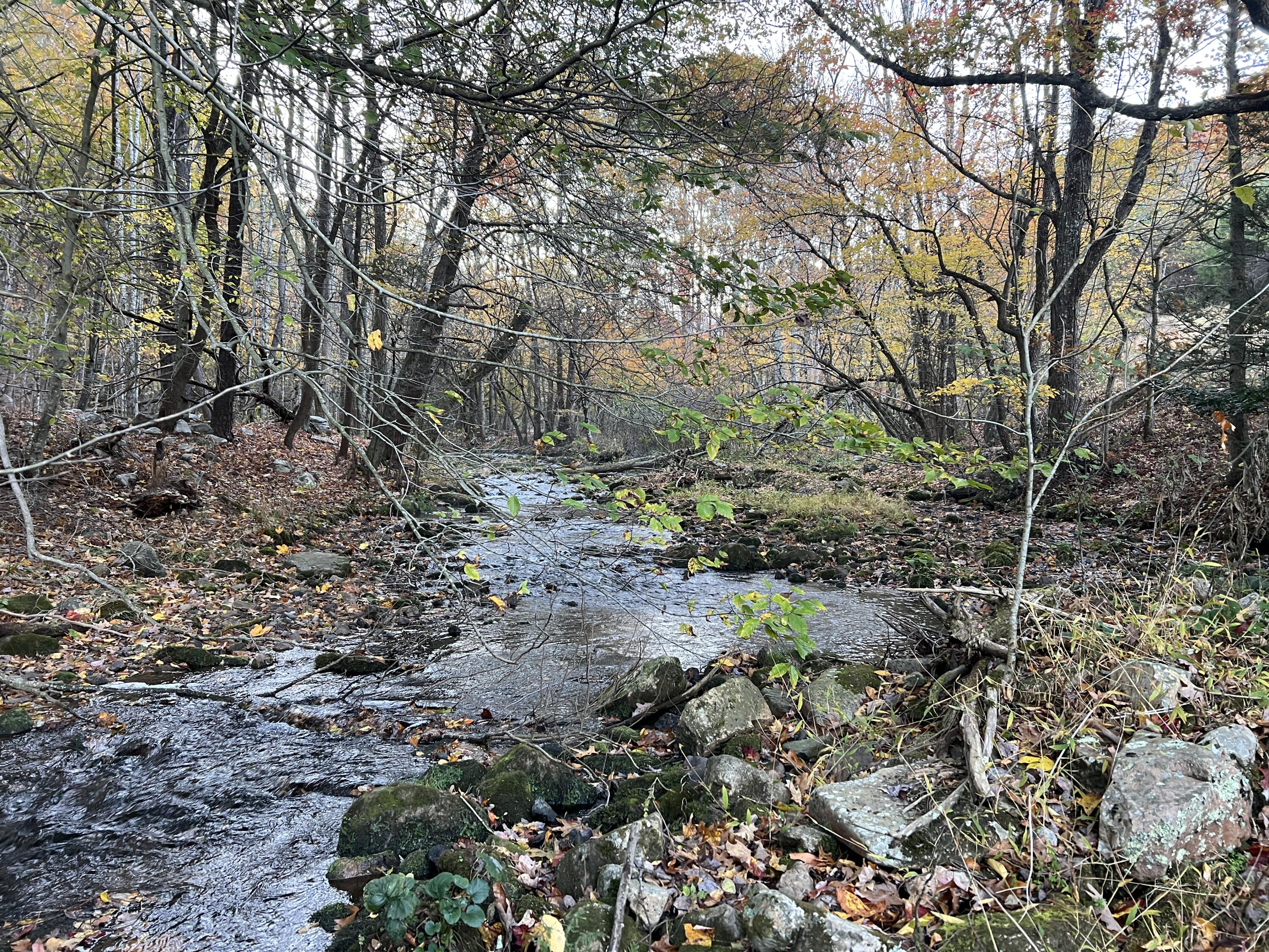 15203 Paint Bank Road Paint Bank, VA 24131 - Photo 33 of 46 Miller-Nelson 40