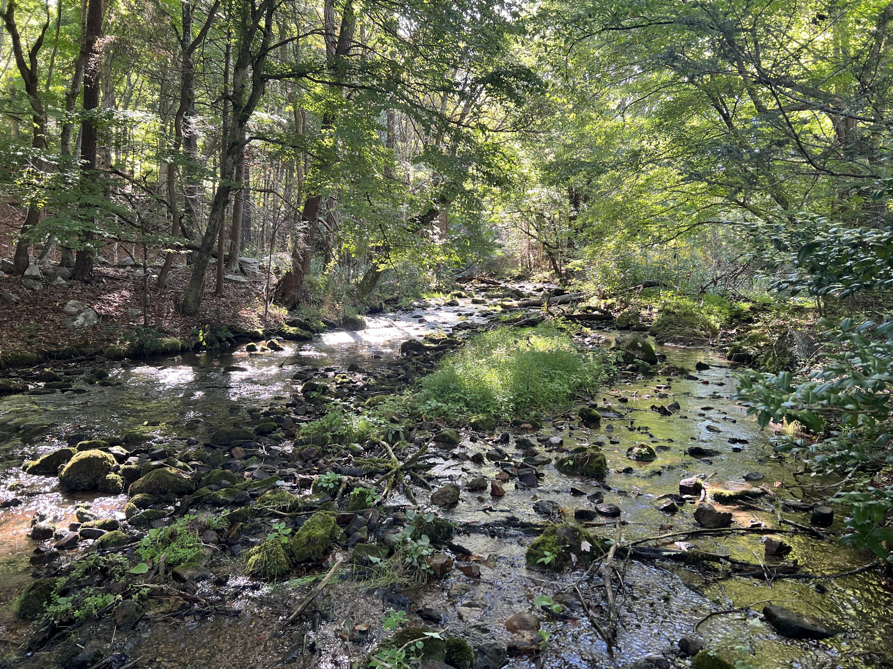 15203 Paint Bank Road Paint Bank, VA 24131 - Photo 36 of 46 Miller-Nelson 43