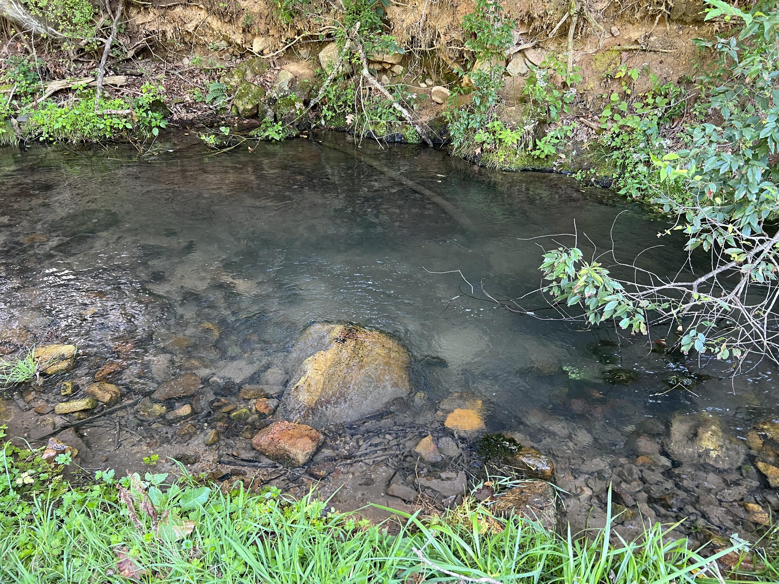 15203 Paint Bank Road Paint Bank, VA 24131 - Photo 38 of 46 Miller-Nelson 45