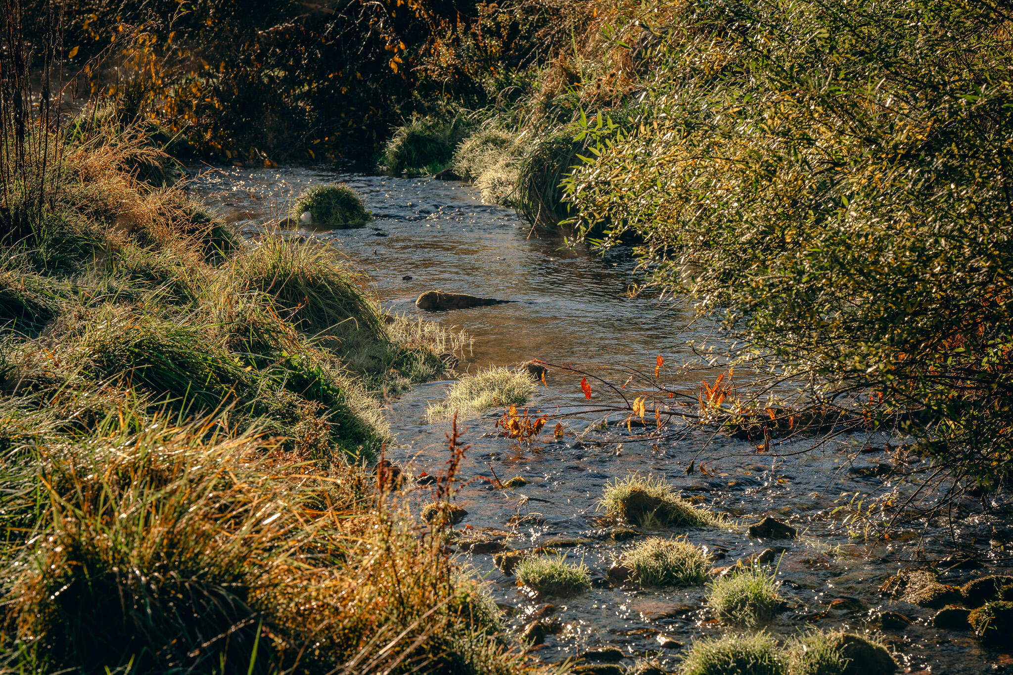 15203 Paint Bank Road Paint Bank, VA 24131 - Photo 4 of 46 Miller-Nelson 3
