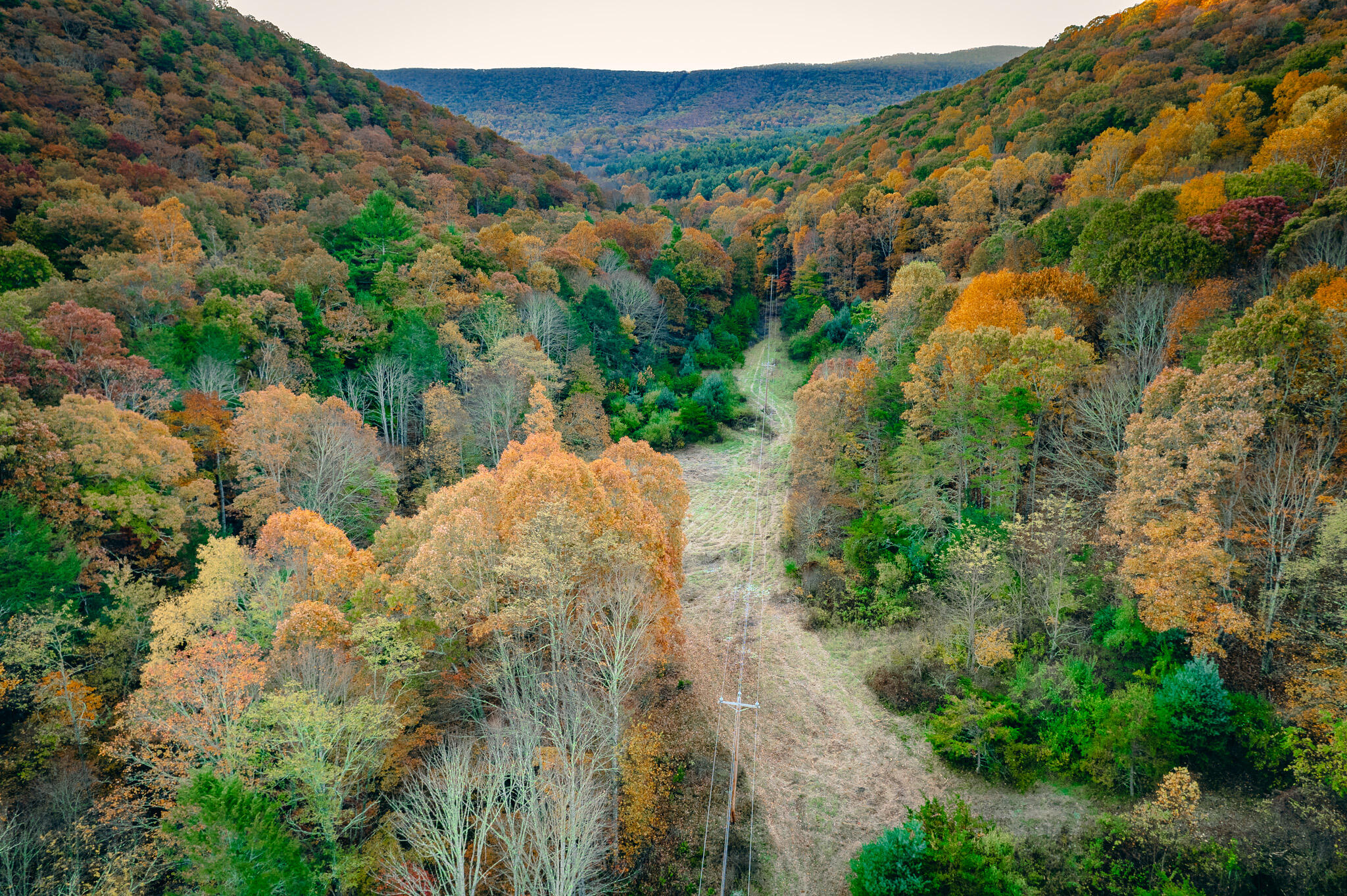 15203 Paint Bank Road Paint Bank, VA 24131 - Photo 46 of 46 Miller-Nelson-6
