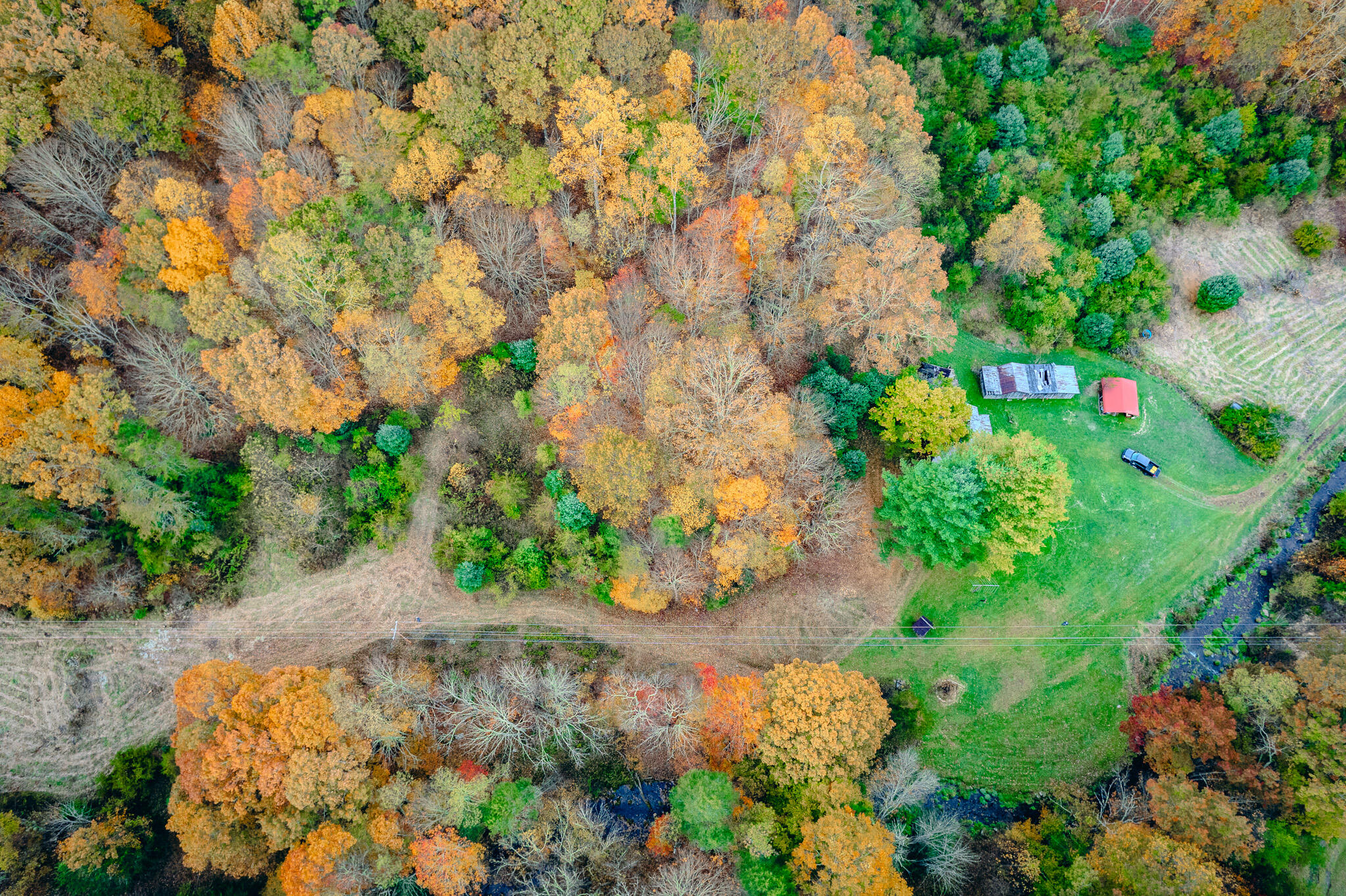 15203 Paint Bank Road Paint Bank, VA 24131 - Photo 7 of 46 Miller-Nelson 9