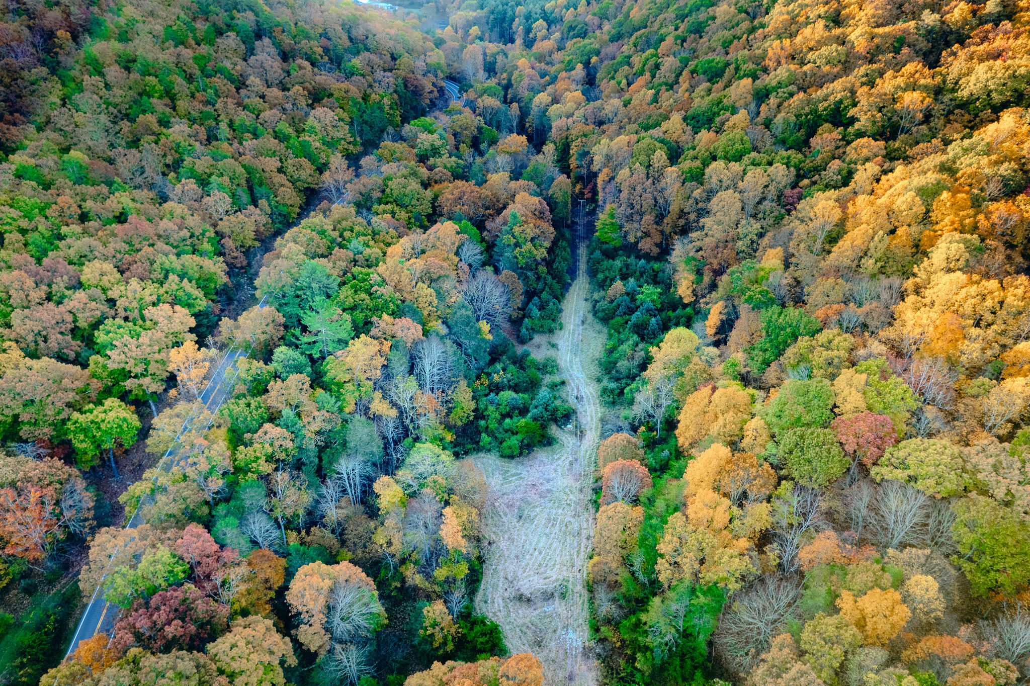 15203 Paint Bank Road Paint Bank, VA 24131 - Photo 8 of 46 Miller-Nelson 10