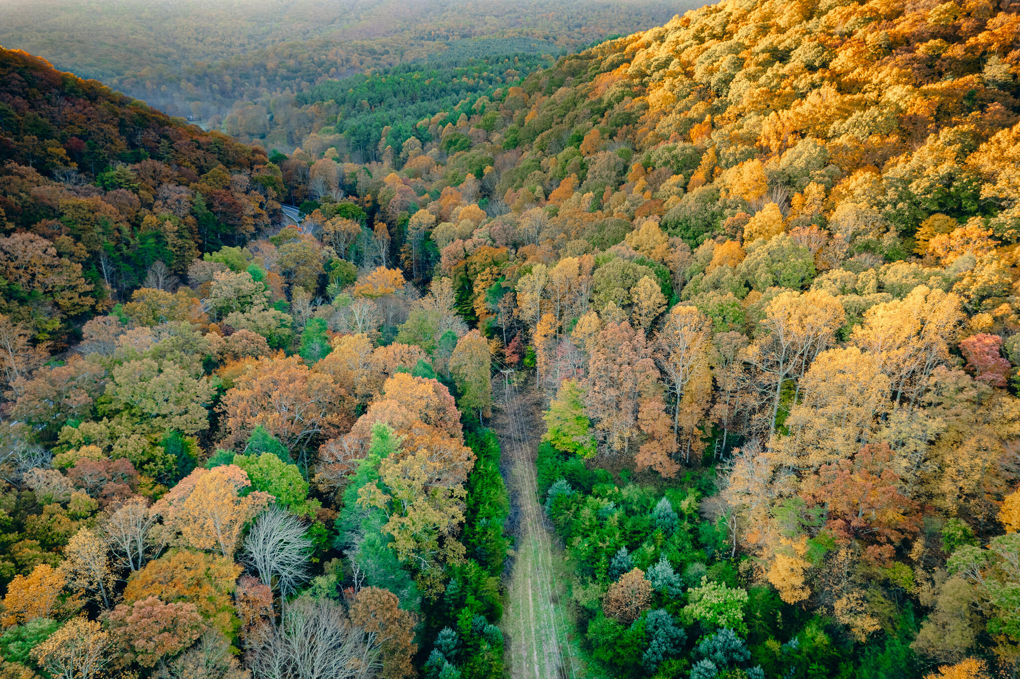 15203 Paint Bank Road Paint Bank, VA 24131 - Photo 9 of 46 Miller-Nelson 11