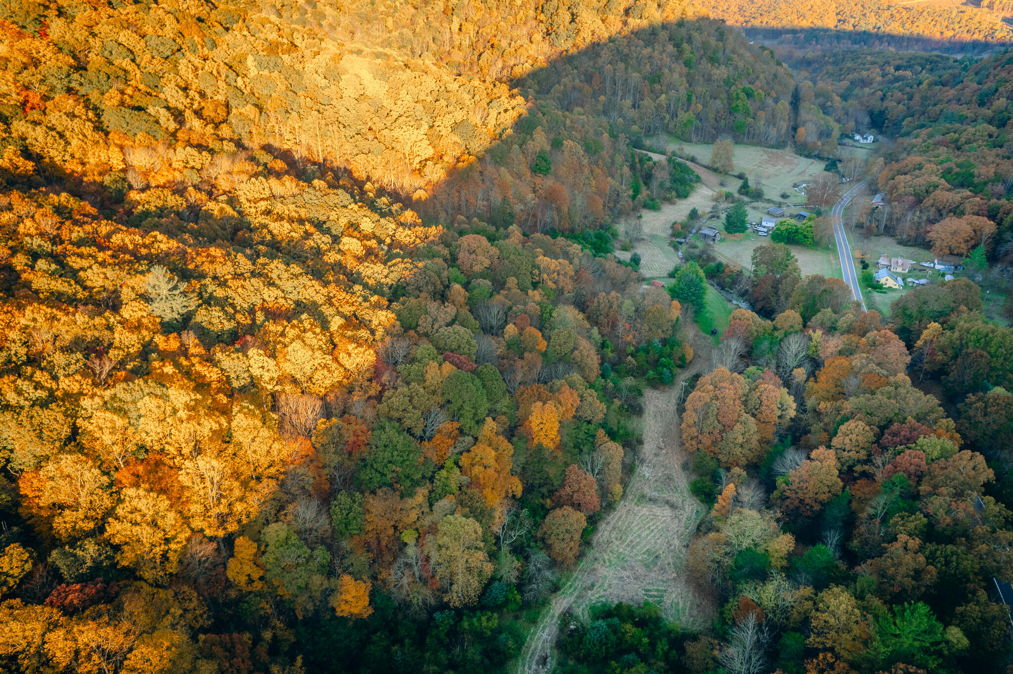 15203 Paint Bank Road Paint Bank, VA 24131 - Photo 10 of 46 Miller-Nelson 12