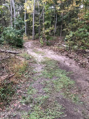 $1,250,000 | 1042 Maxim Southard Road, Howell, NJ 07731