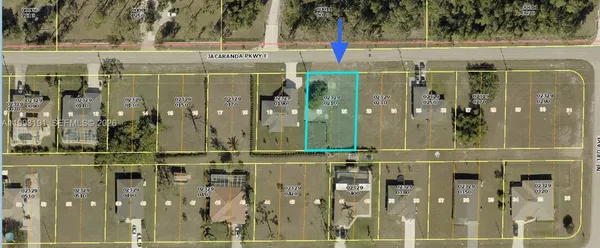 $50,000 | 206 Jacaranda Parkway East, Cape Coral, FL 33909