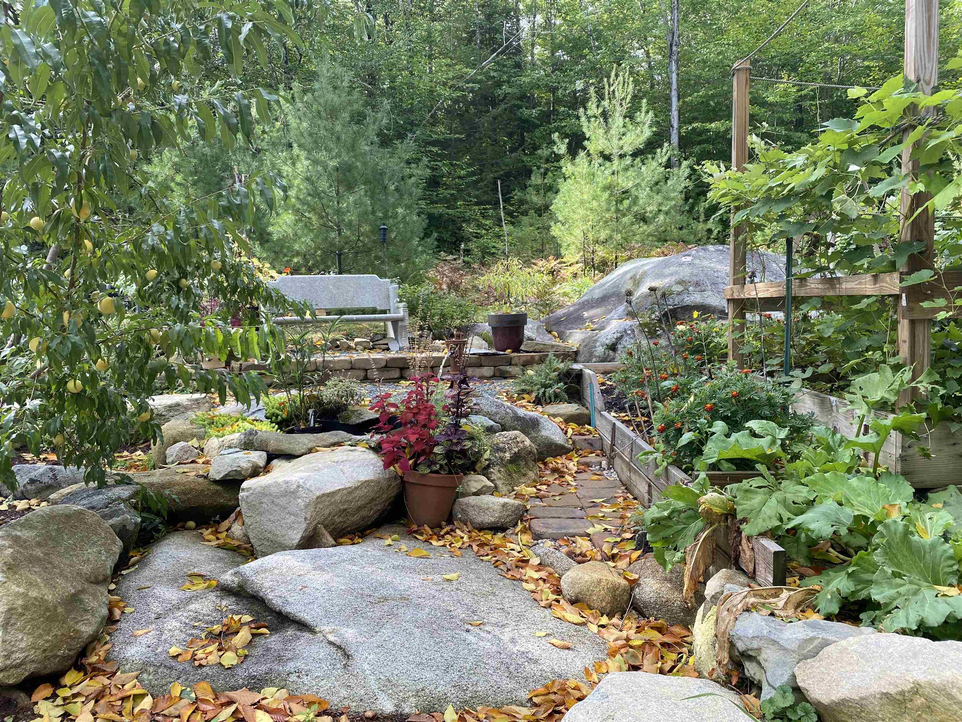 37 Knox Pasture Road Wolfeboro, NH 03894 - Photo 4 of 35 Gallery Image 4