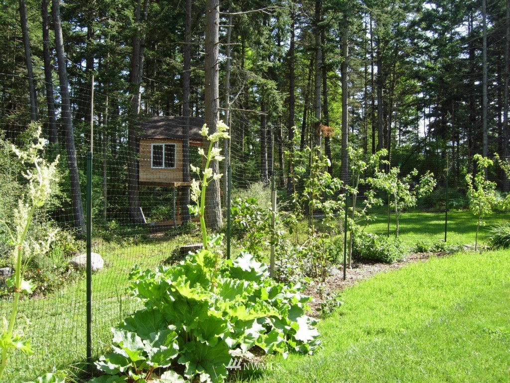 417 Ivan Road San Juan Island, WA 98250 - Photo 11 of 20 Gallery Image 11