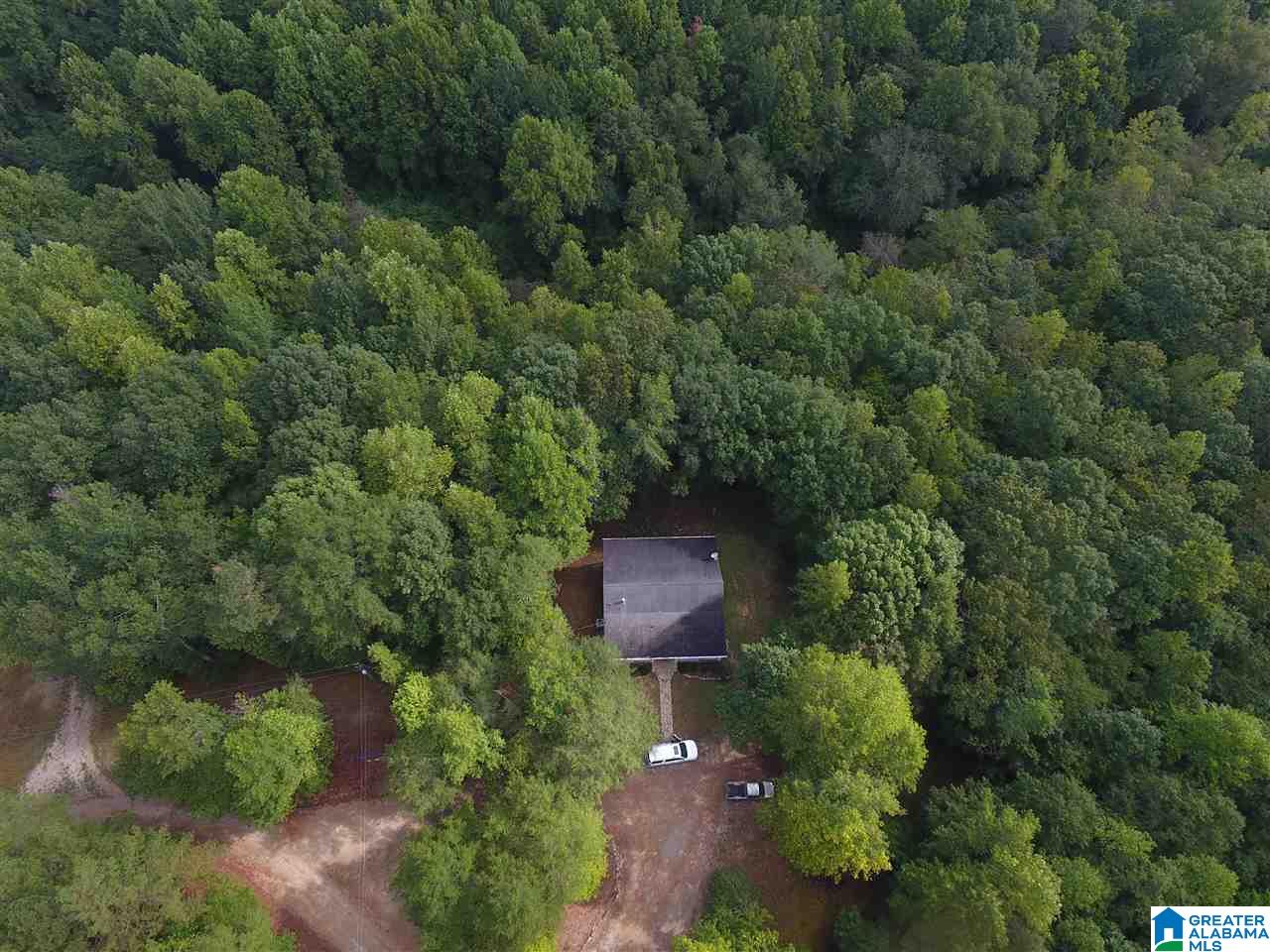 98 Dobson Mill Road Wedowee, AL 36278 - Photo 17 of 19