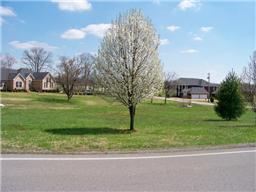 65 Mann Road Lebanon, TN 37087 - Photo 1 of 4
