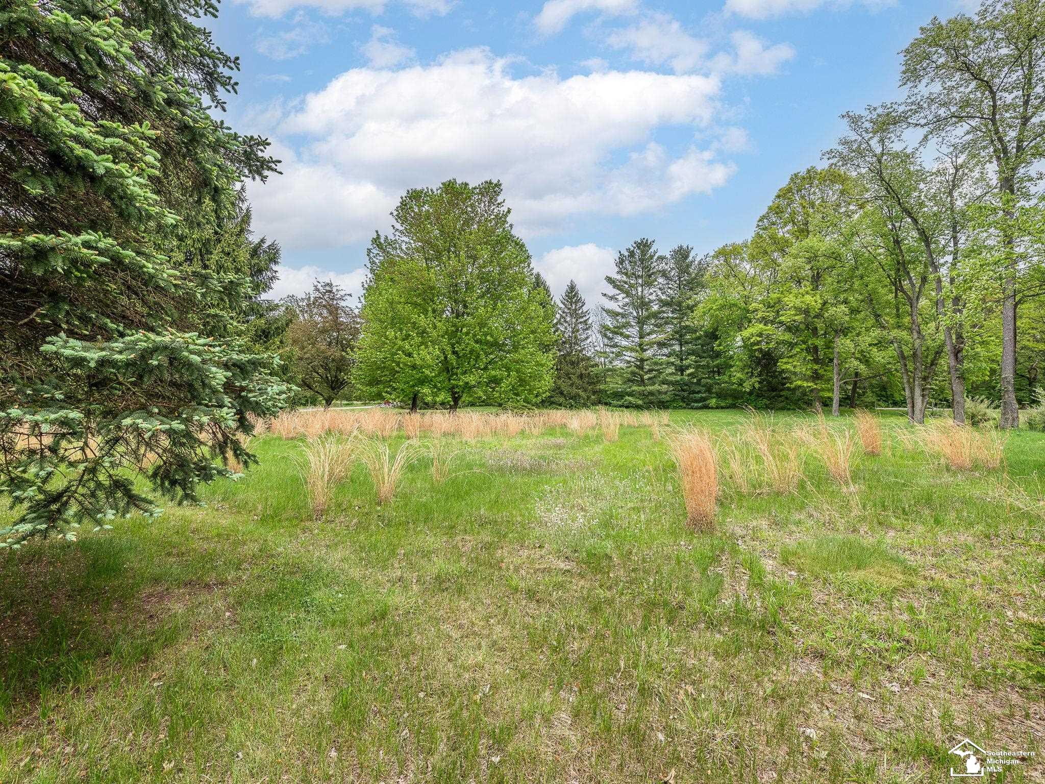 11370 Butler Road Willis, MI 48191 - Photo 53 of 63 50174745-f3143110-5a97-4e7d-9d87-cd12e20194f9.JPG