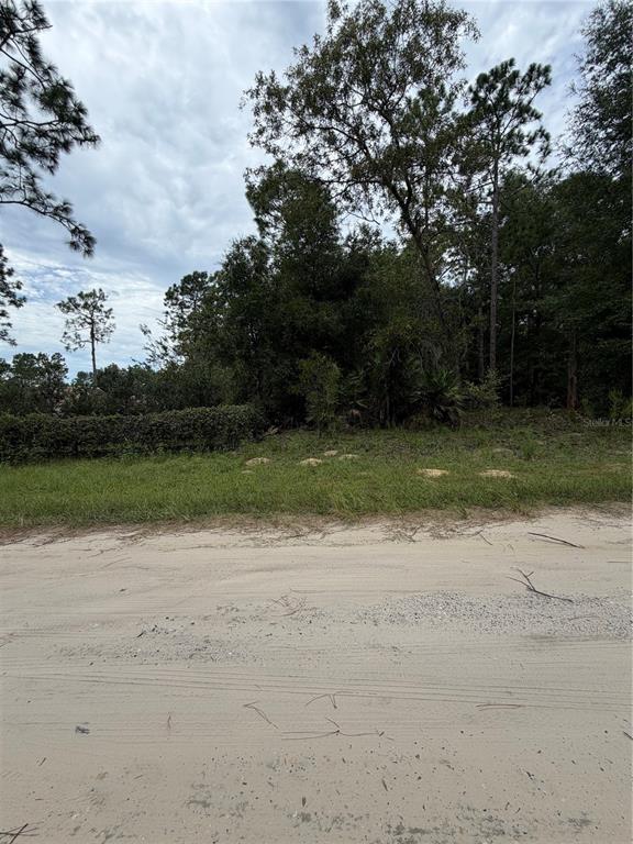 0 Southwest 48th Lane Road Ocala, FL 34481 - Photo 6 of 9 Gallery Image 6