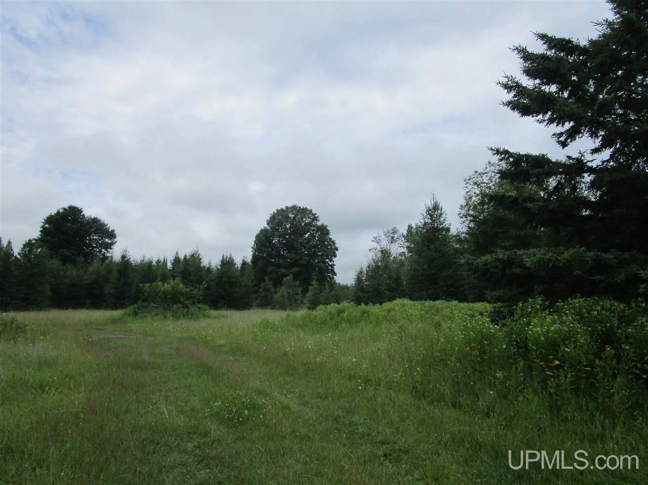 W6586 Co Road Hermansville, MI 49847 - Photo 2 of 2