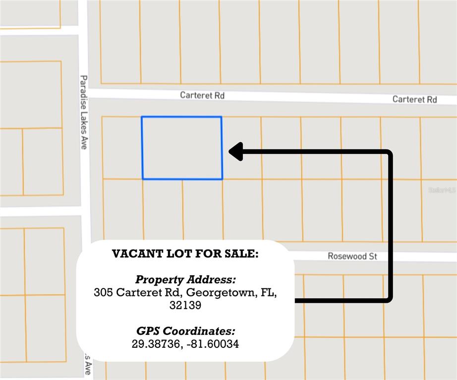 305 Carteret Road Georgetown, FL 32139 - Photo 5 of 11