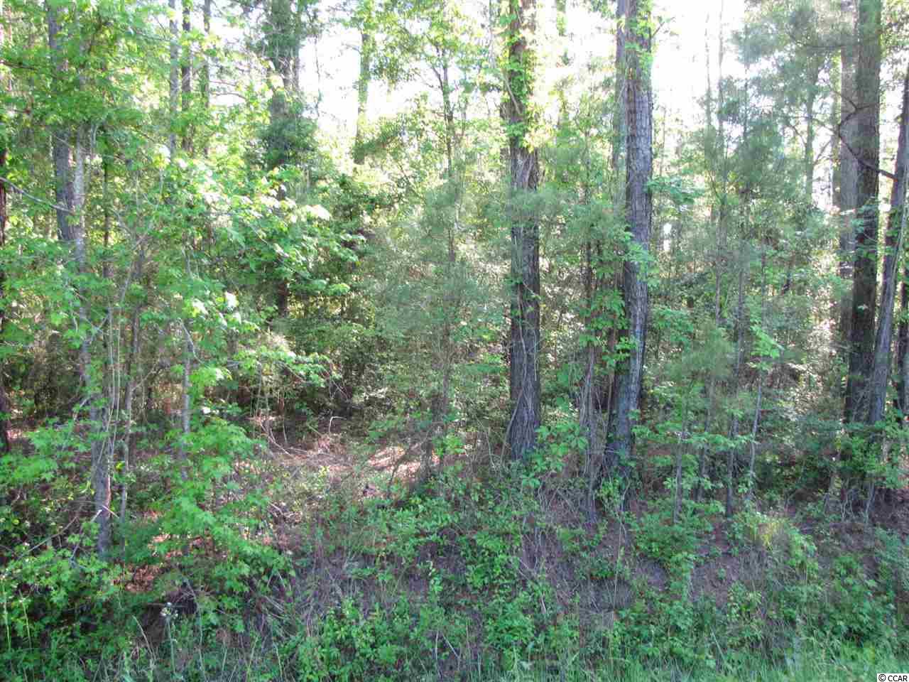 Lot A Lamplighter Road Myrtle Beach, SC 29588 - Photo 1 of 4 Gallery Image 1