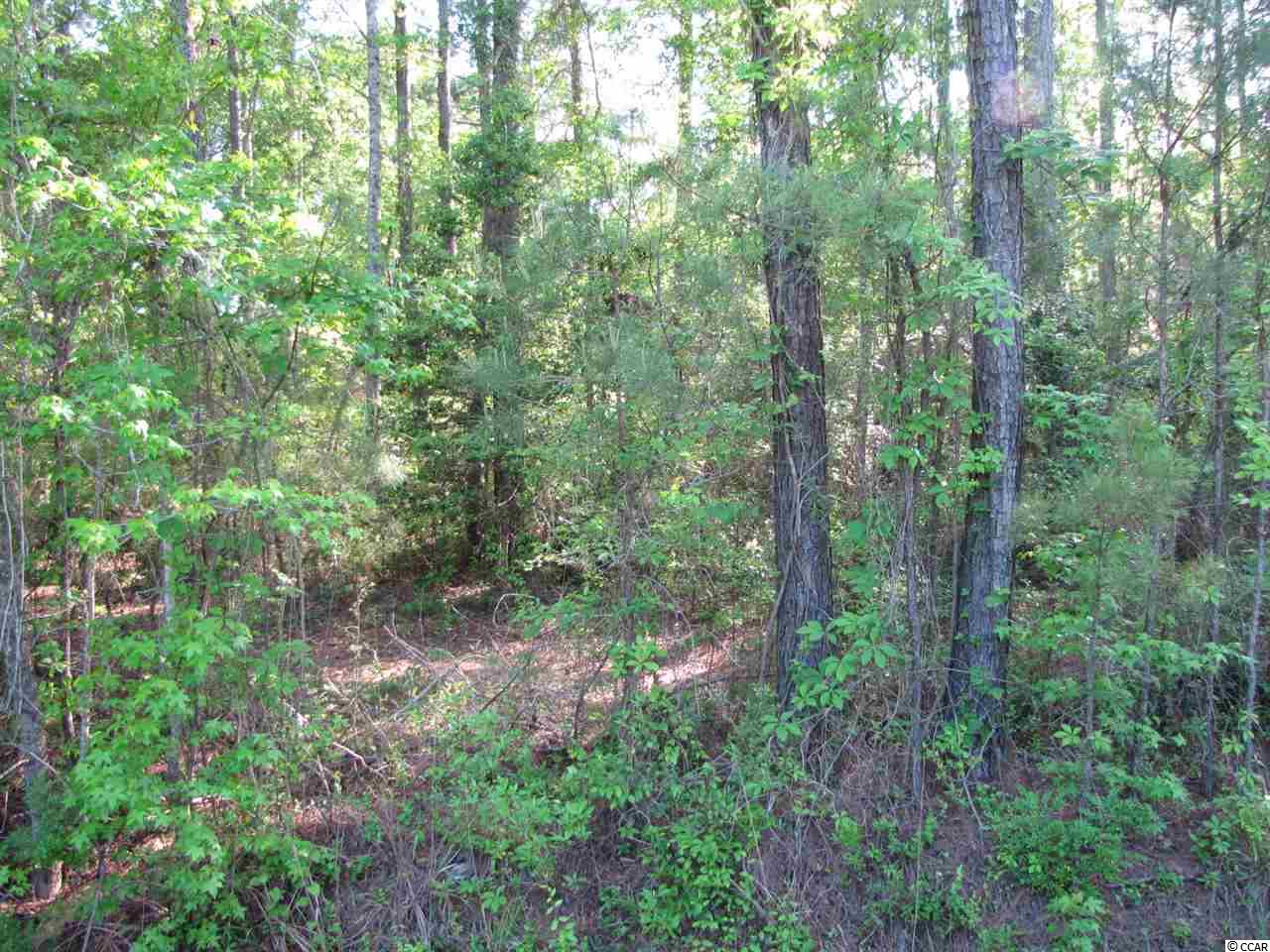 Lot A Lamplighter Road Myrtle Beach, SC 29588 - Photo 2 of 4 Gallery Image 2