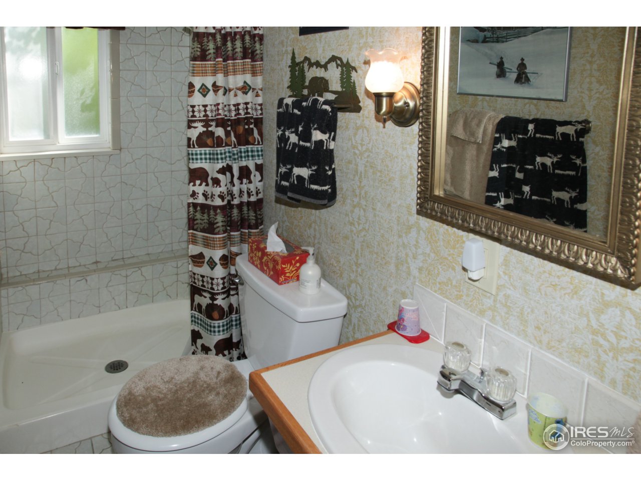 433 Bramer Road Ward, CO 80481 - Photo 13 of 26 Lower level bathroom