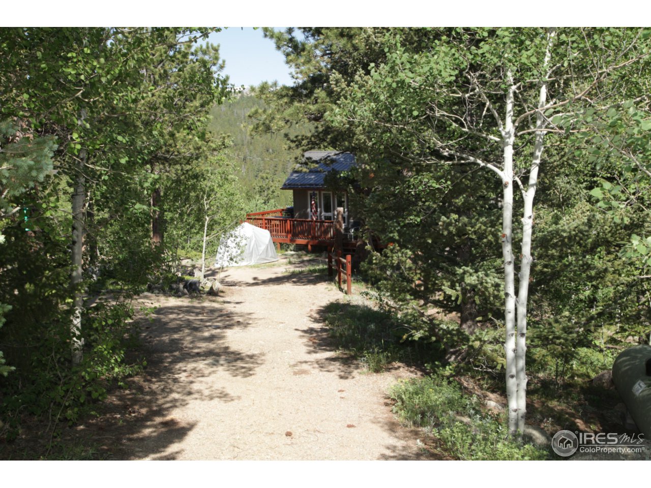 433 Bramer Road Ward, CO 80481 - Photo 20 of 26 Driveway