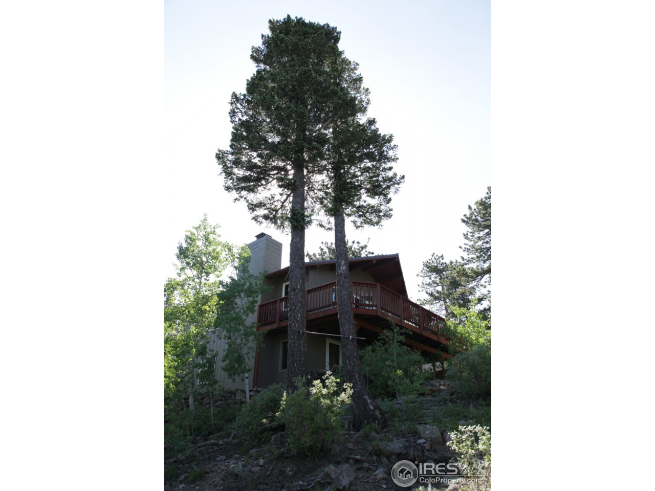 433 Bramer Road Ward, CO 80481 - Photo 5 of 26 Rear elevation