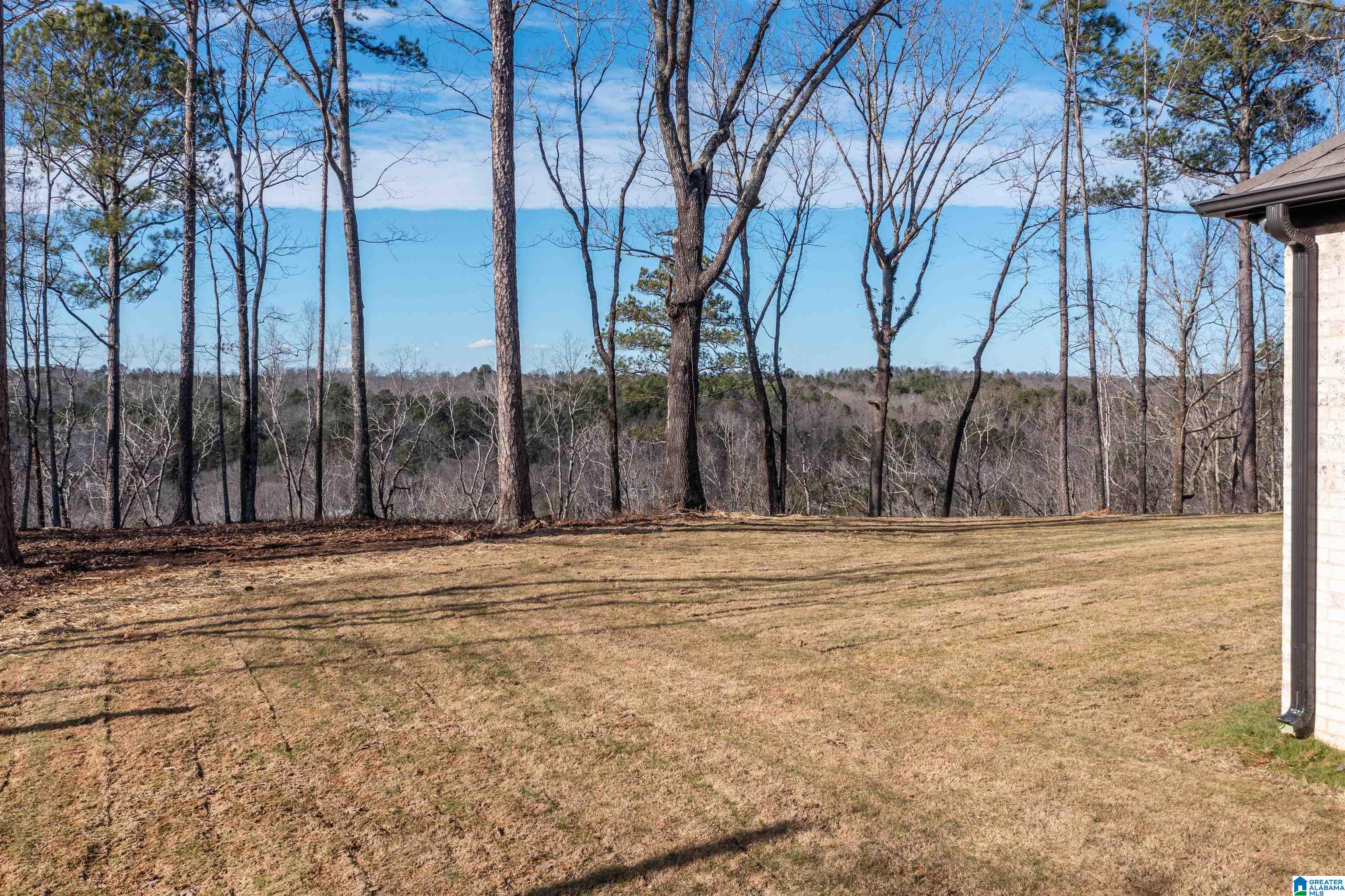 8564 Shady Trail Helena, AL 35022 - Photo 4 of 44 Gallery Image 4
